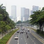 Dadar Beredar Cabang Jakarta: Kelezatan yang Tidak Boleh Dilewatkan